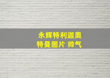 永辉特利迦奥特曼图片 帅气